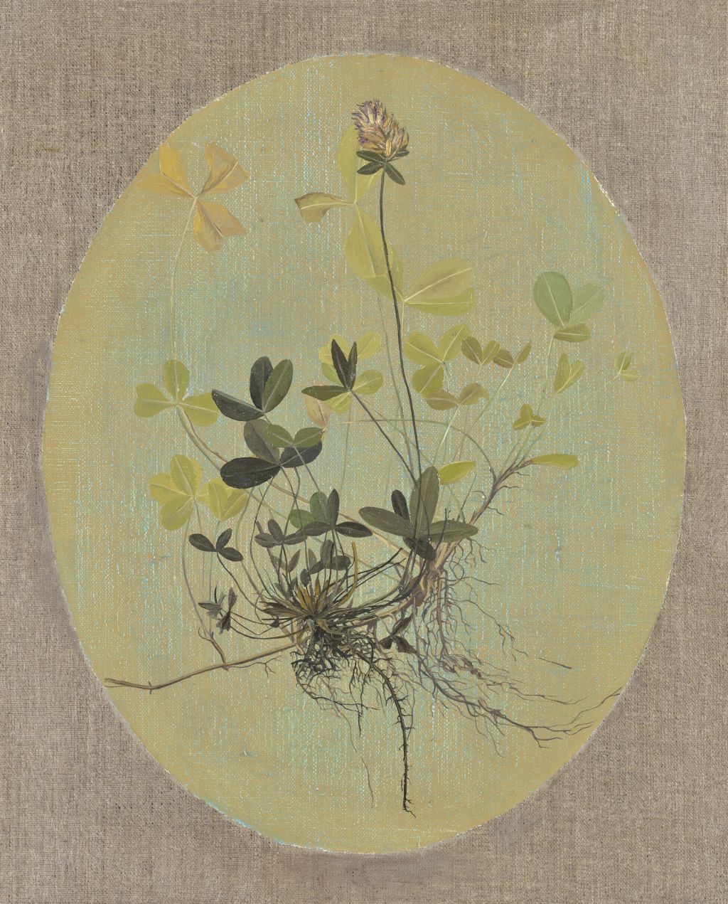 Fotos Anja Jerčič Jakob (9/9)