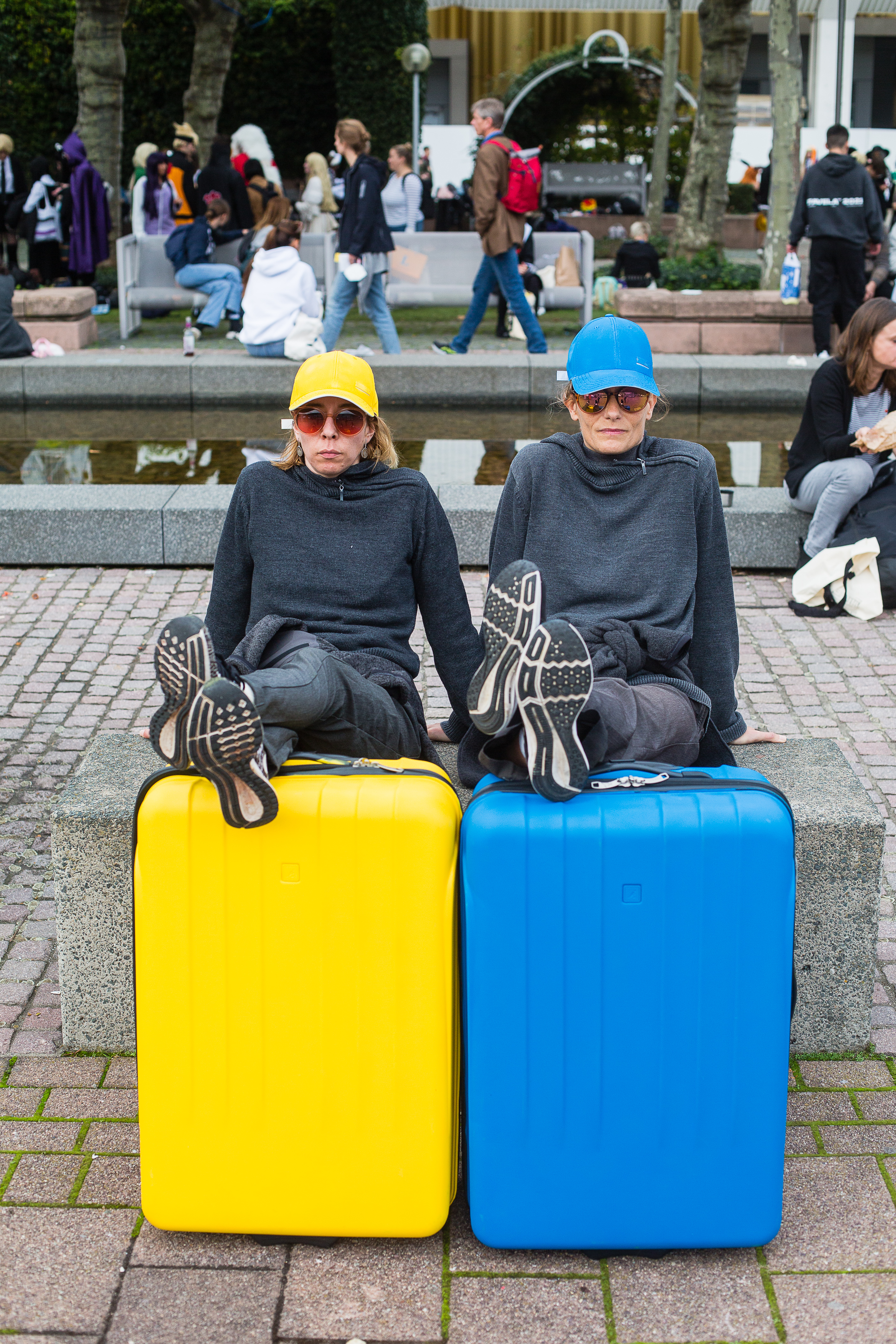 Duo Yellow and Blue (11/11)