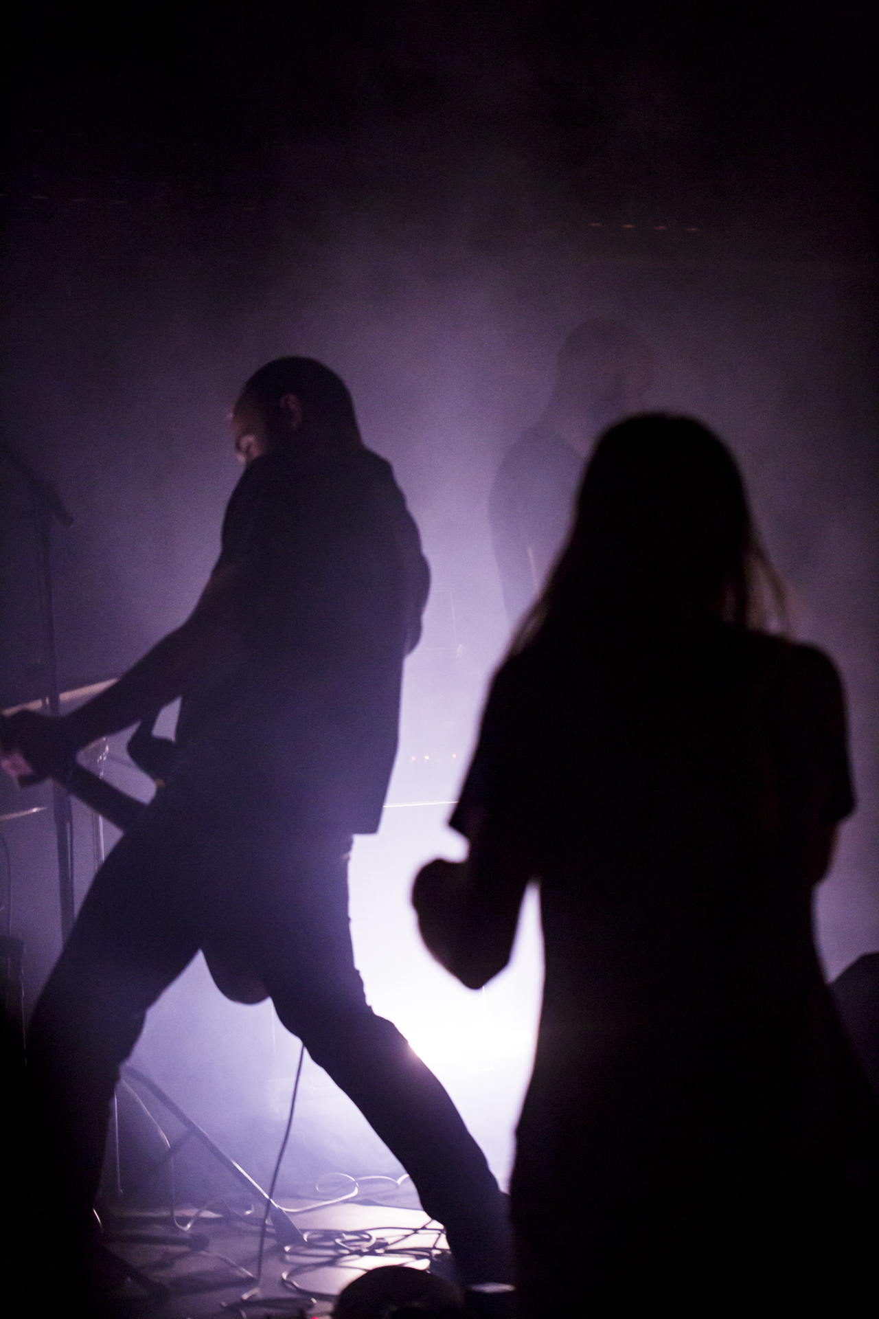 The Canyon Observer (1/14)