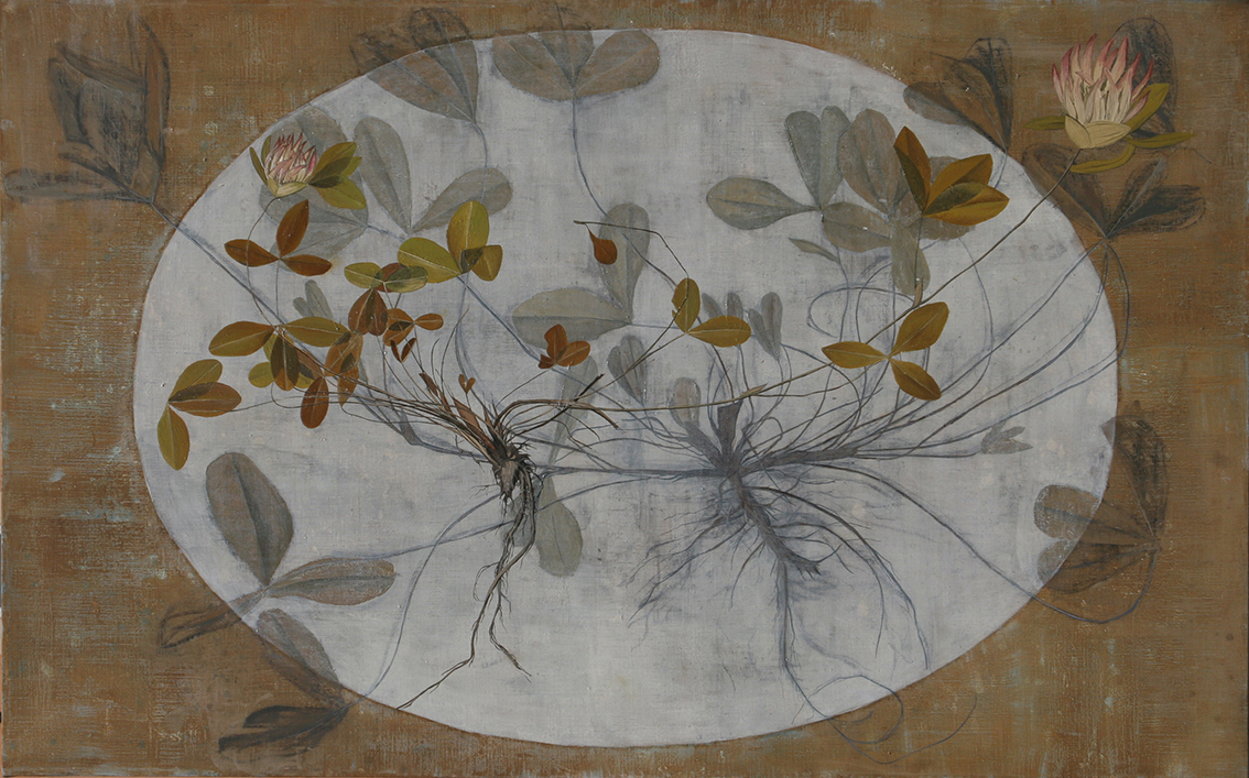 Fotos Anja Jerčič Jakob (3/9)