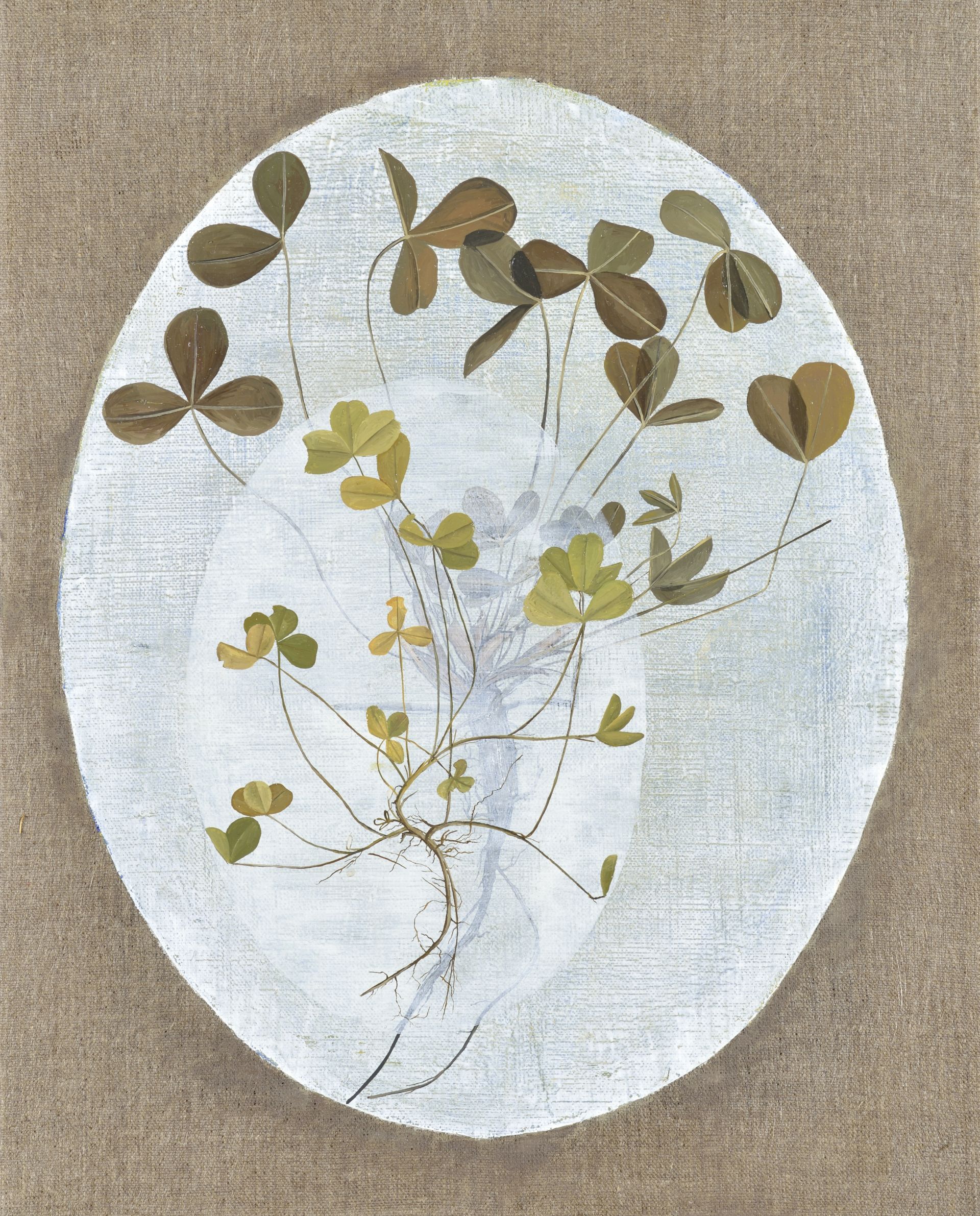 Fotos Anja Jerčič Jakob (8/9)