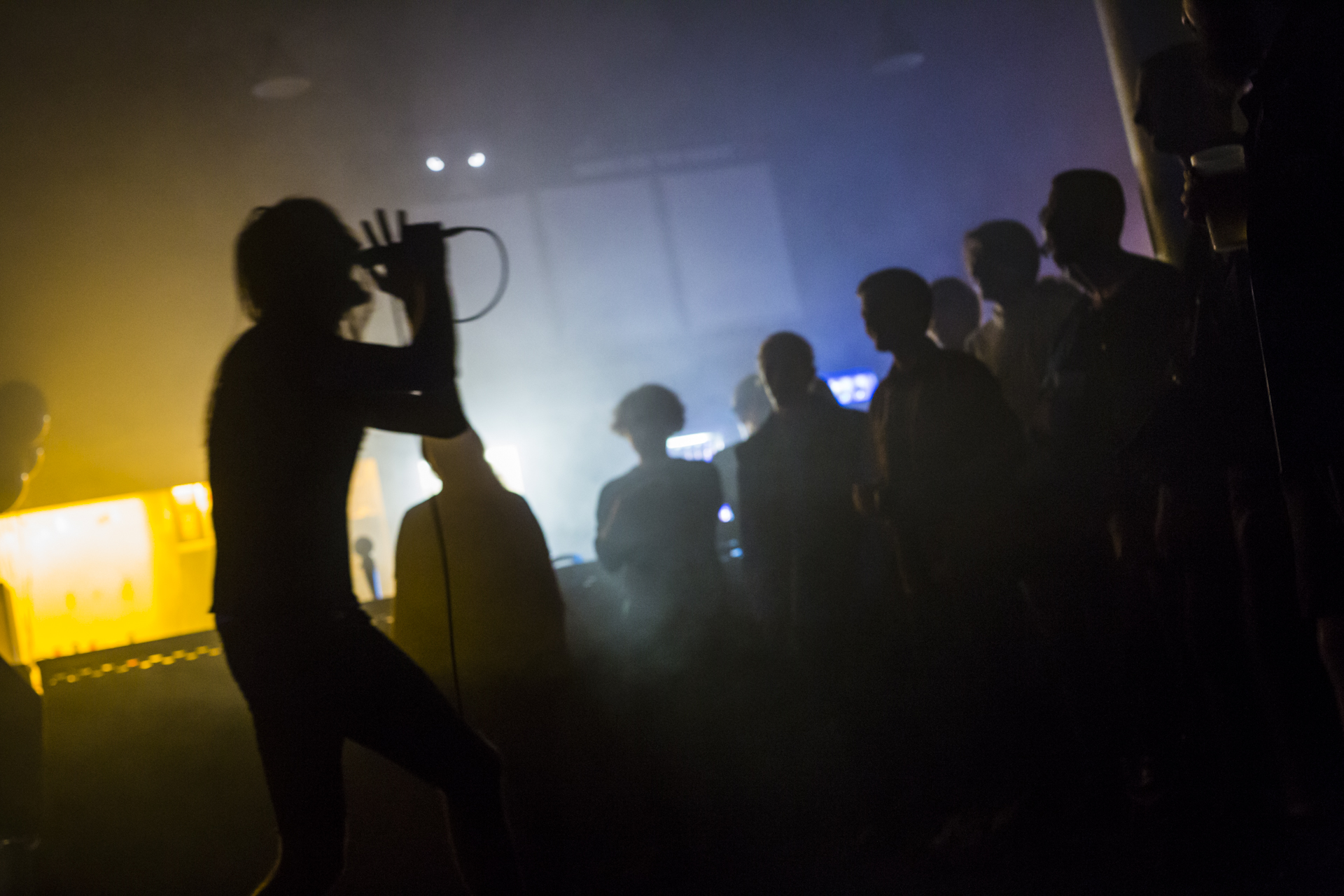 The Canyon Observer (11/14)