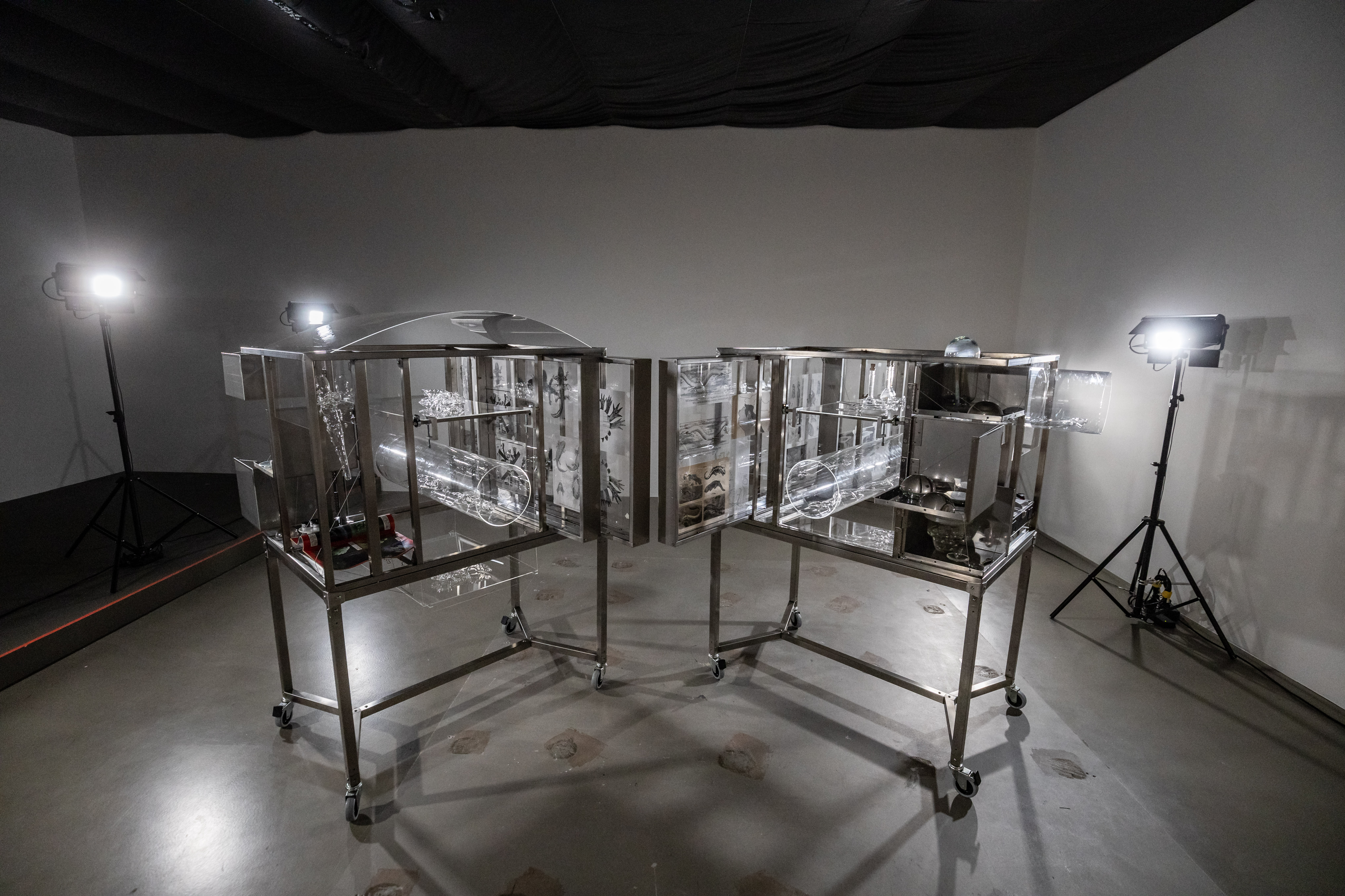 Robertina Šebjanič: Lygophilia @ Kunstgewerbemuseum (4/20)