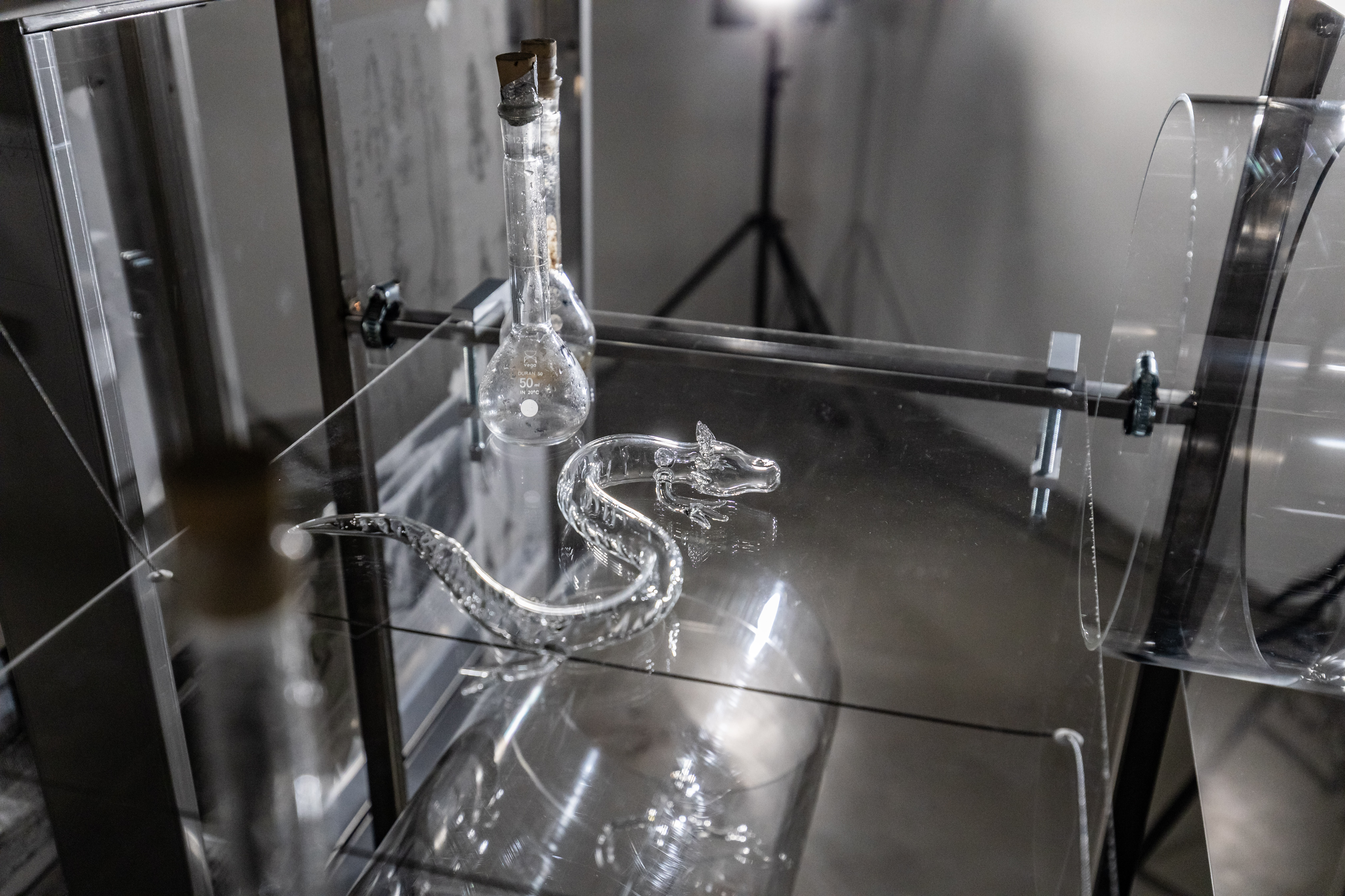 Robertina Šebjanič: Lygophilia @ Kunstgewerbemuseum (5/20)