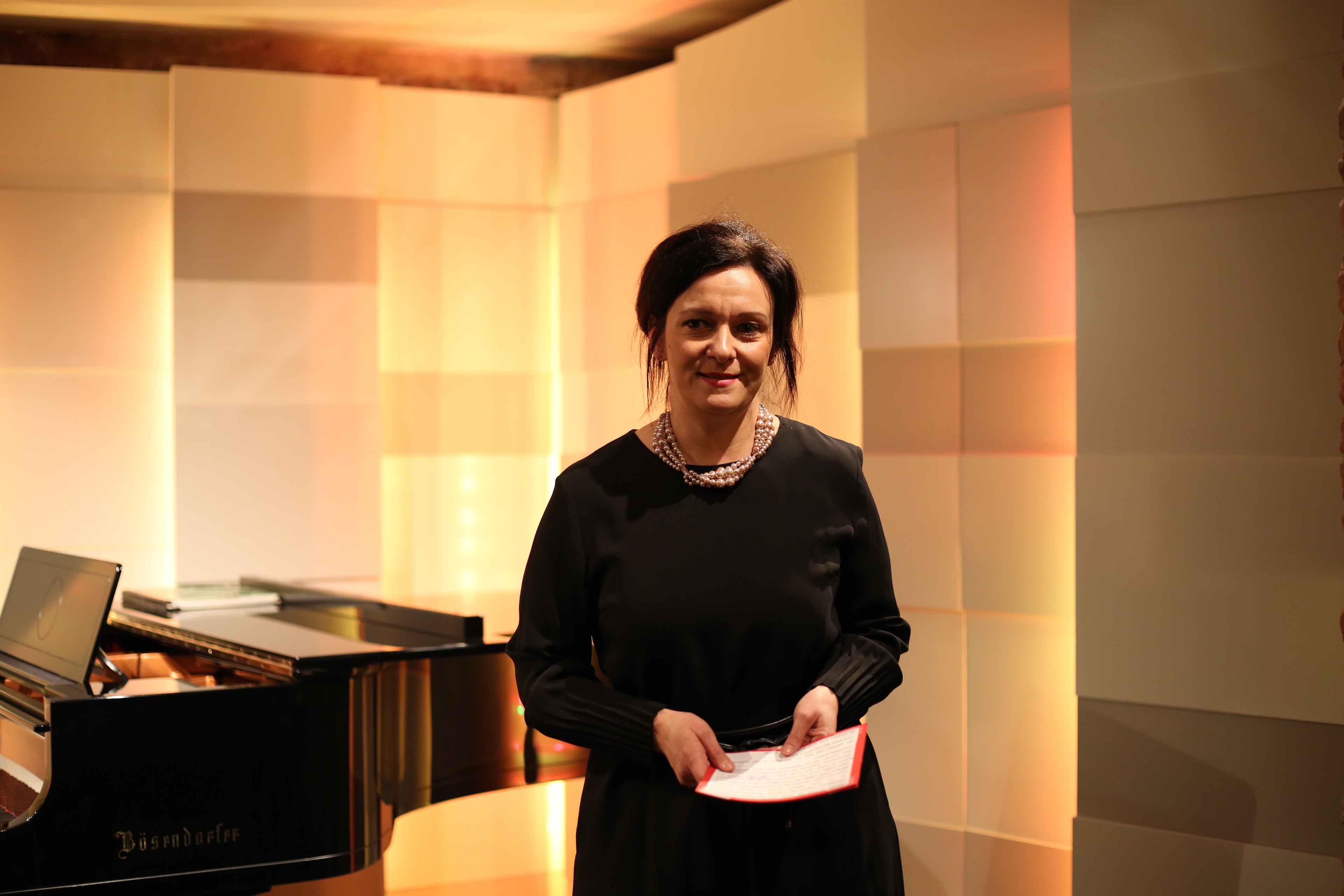 Konzert Janez Matičič (7/8)