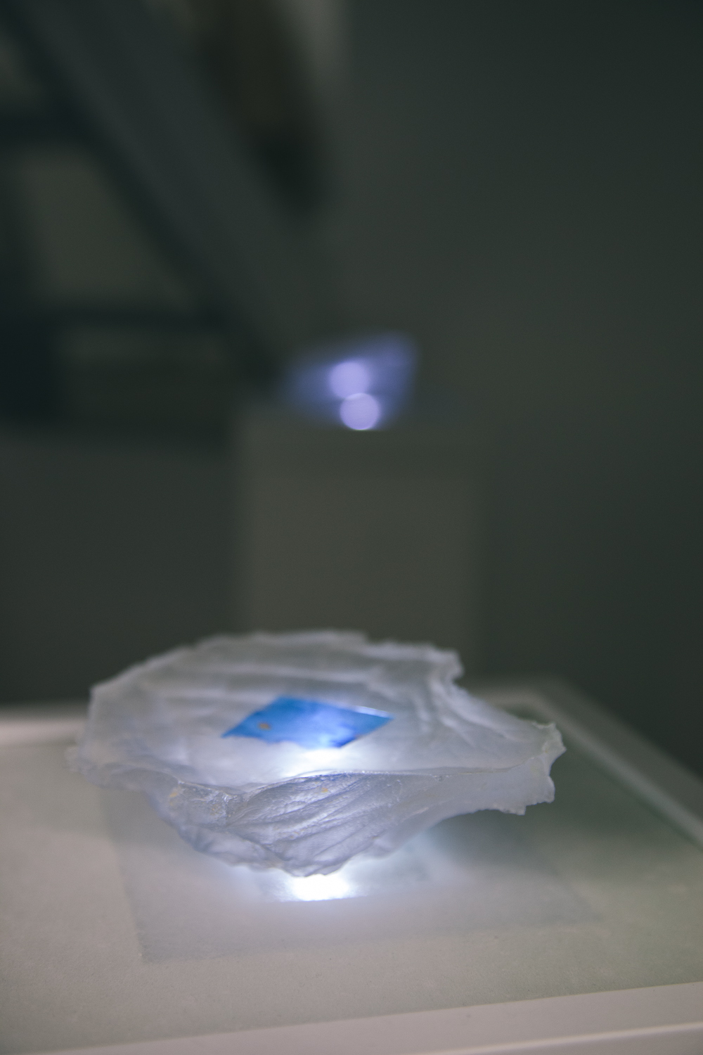 seedkeepers_skica (6/11)