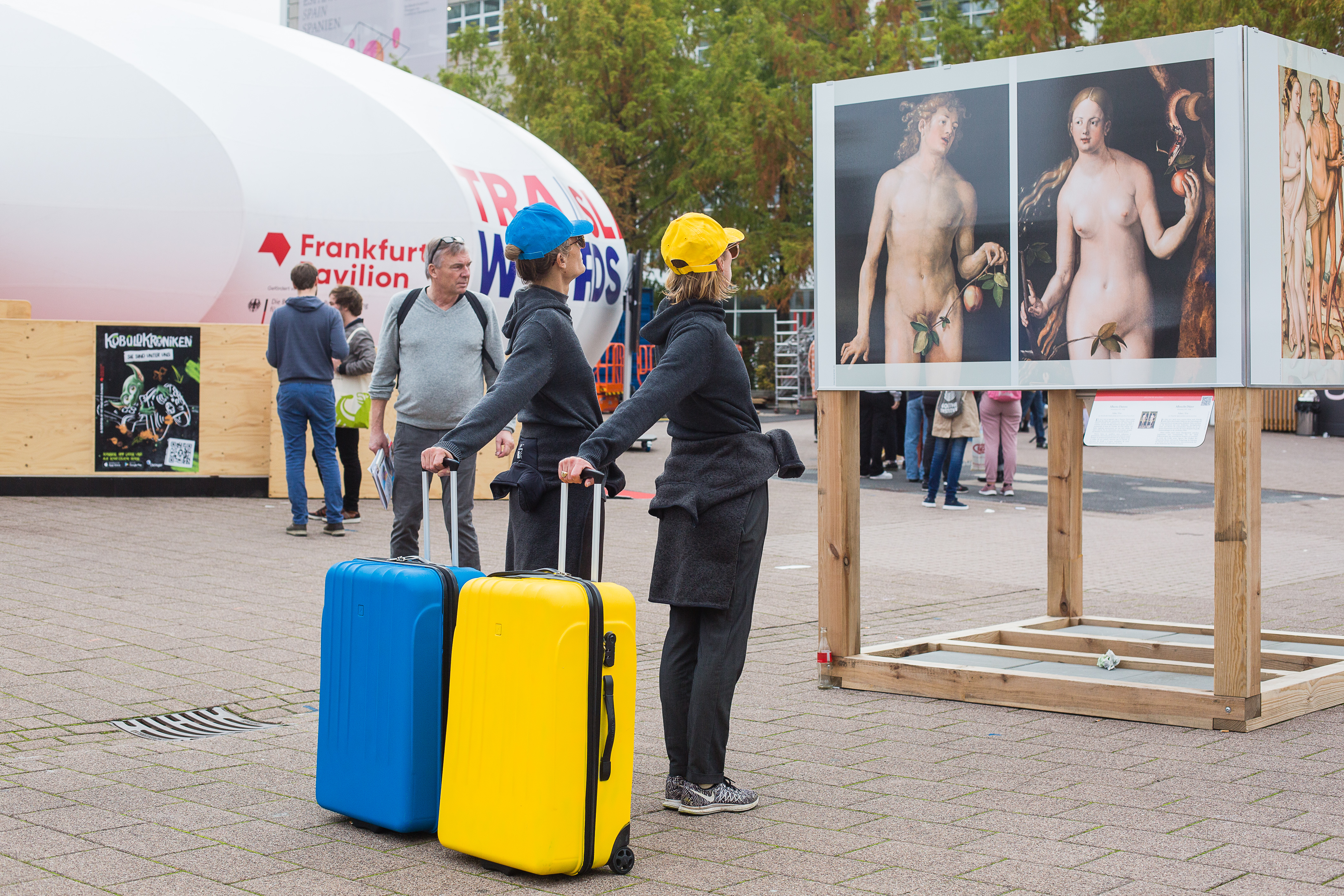 Duo Rumena in modra (9/11)