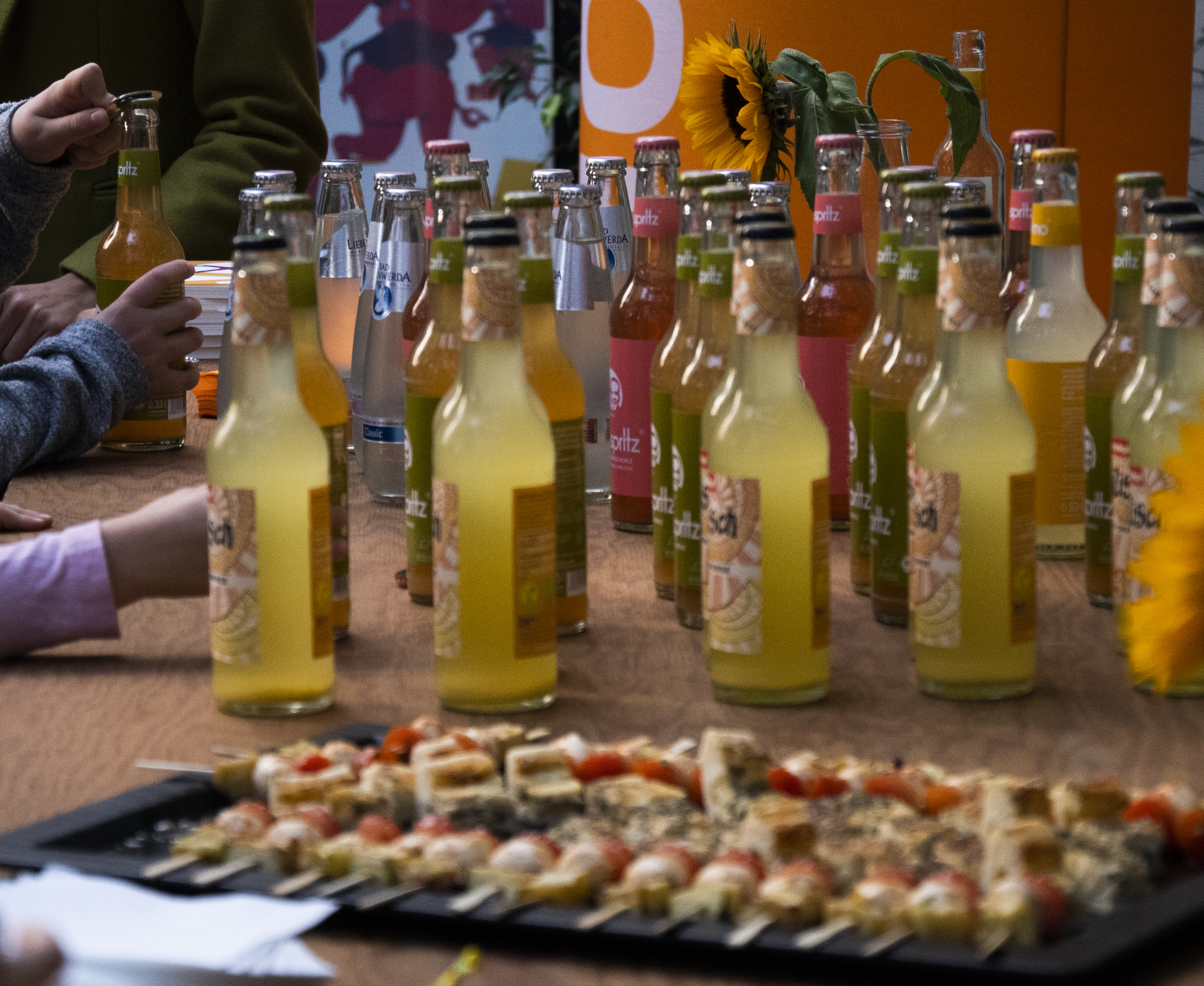 Festival of Animation Berlin: Fokus Slowenien (6/11)