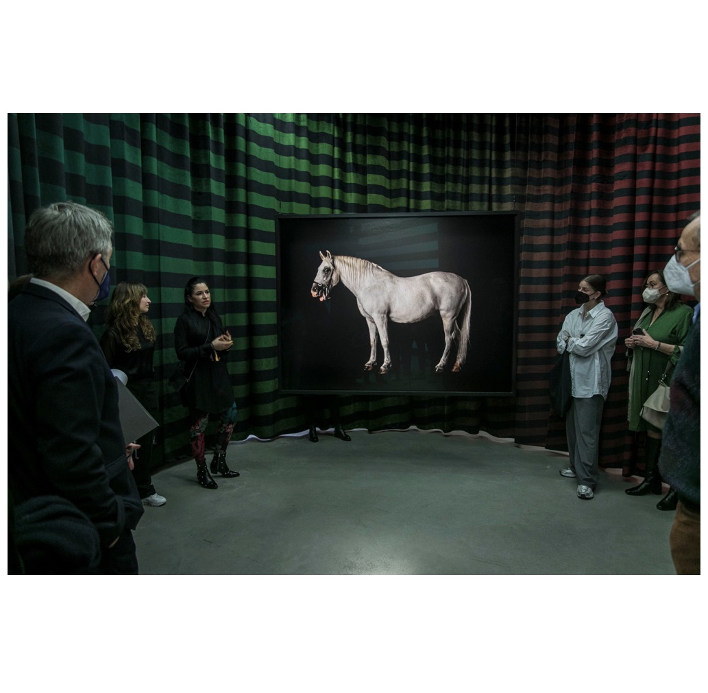 Jasmina Cibic: Most Favoured Nation (1/12)