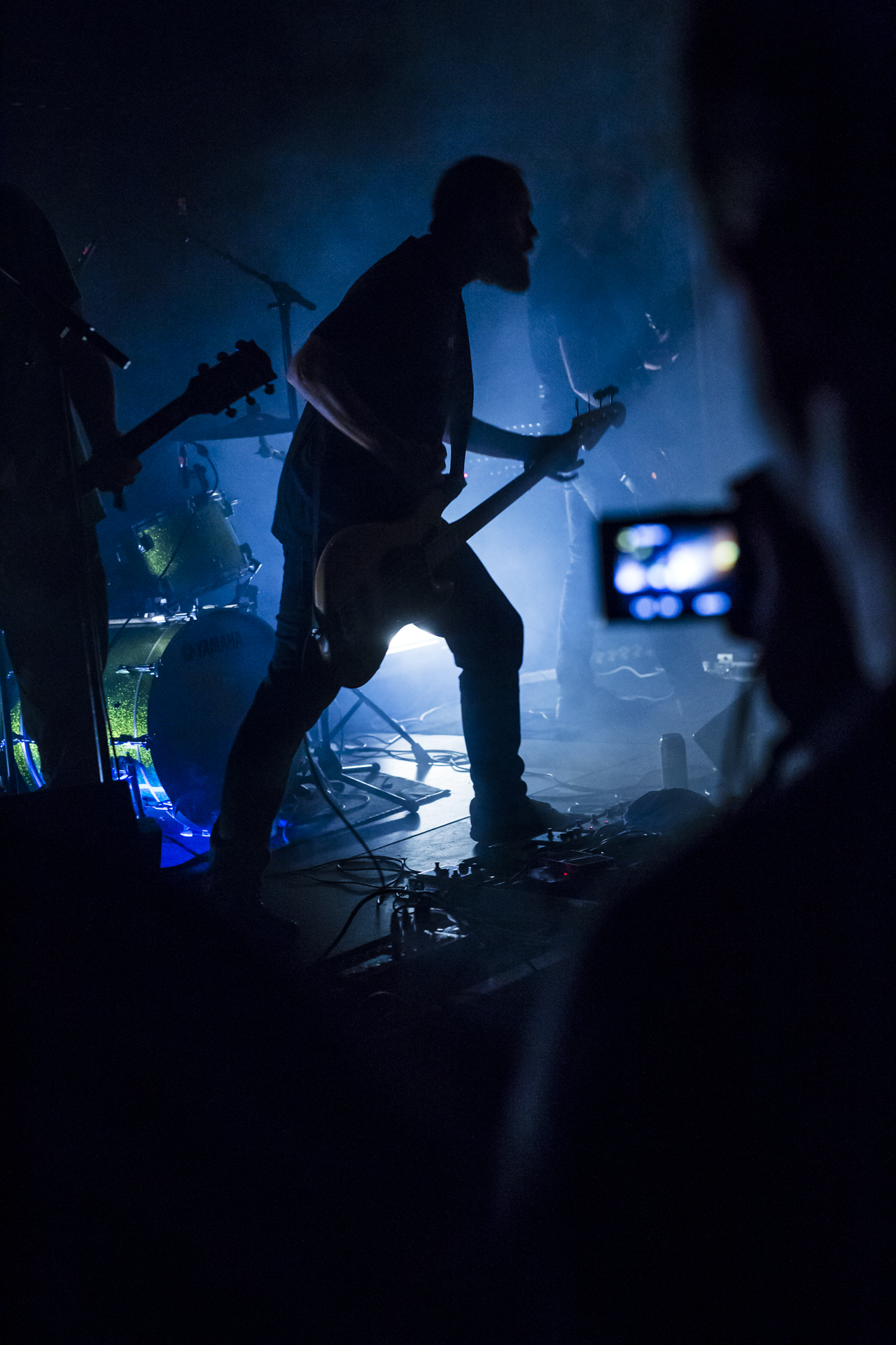 The Canyon Observer (14/14)