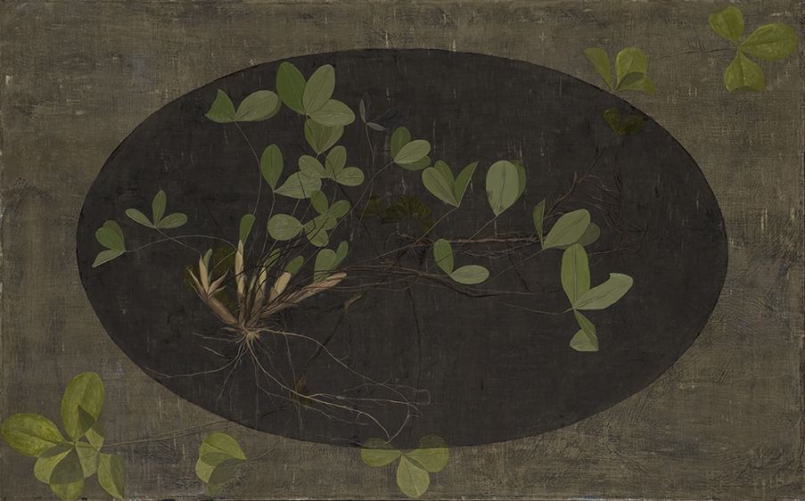 Fotos Anja Jerčič Jakob (2/9)