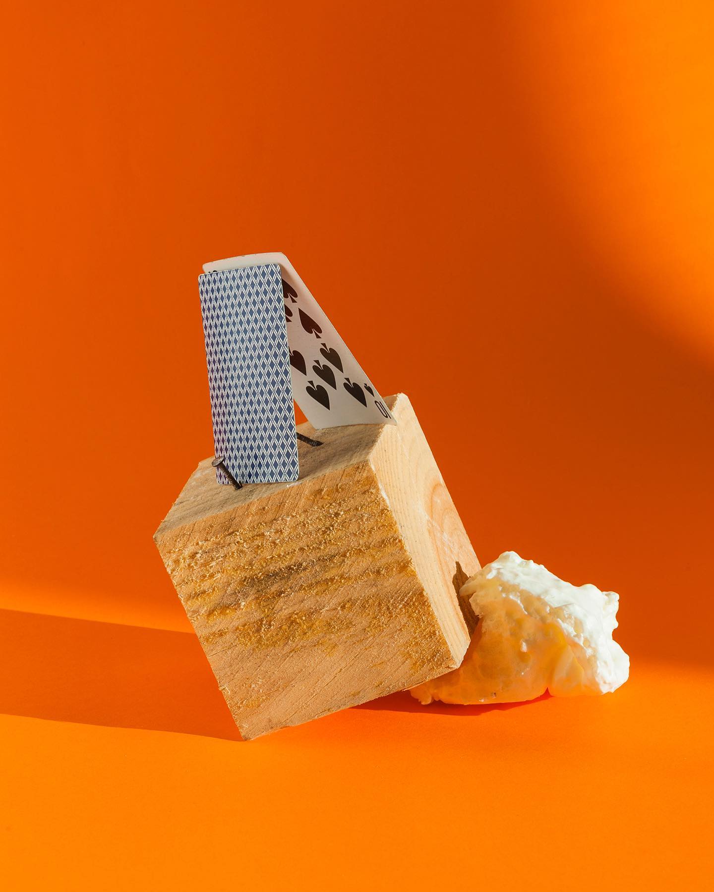 Galerija Fotografija (1/2)