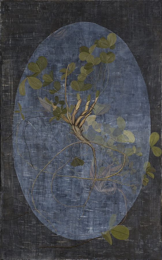 Fotos Anja Jerčič Jakob (1/9)