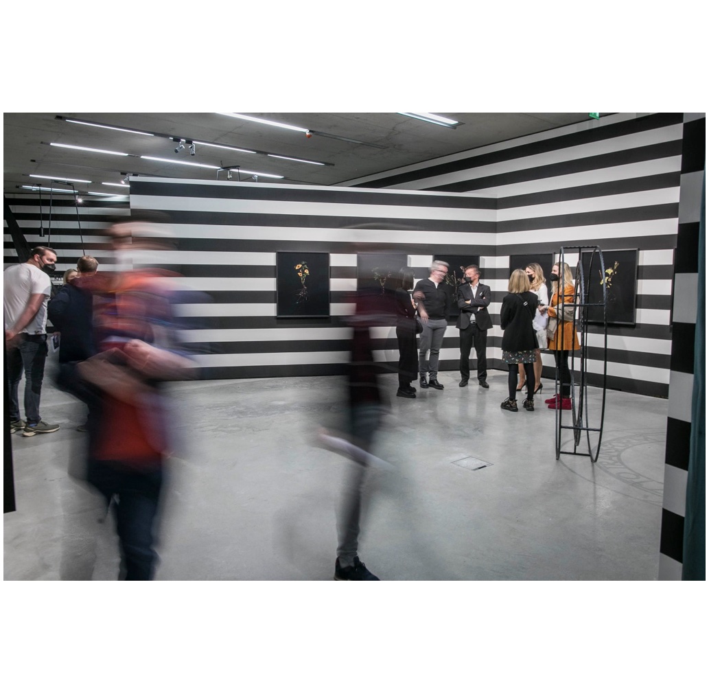 Jasmina Cibic: Most Favoured Nation (7/12)