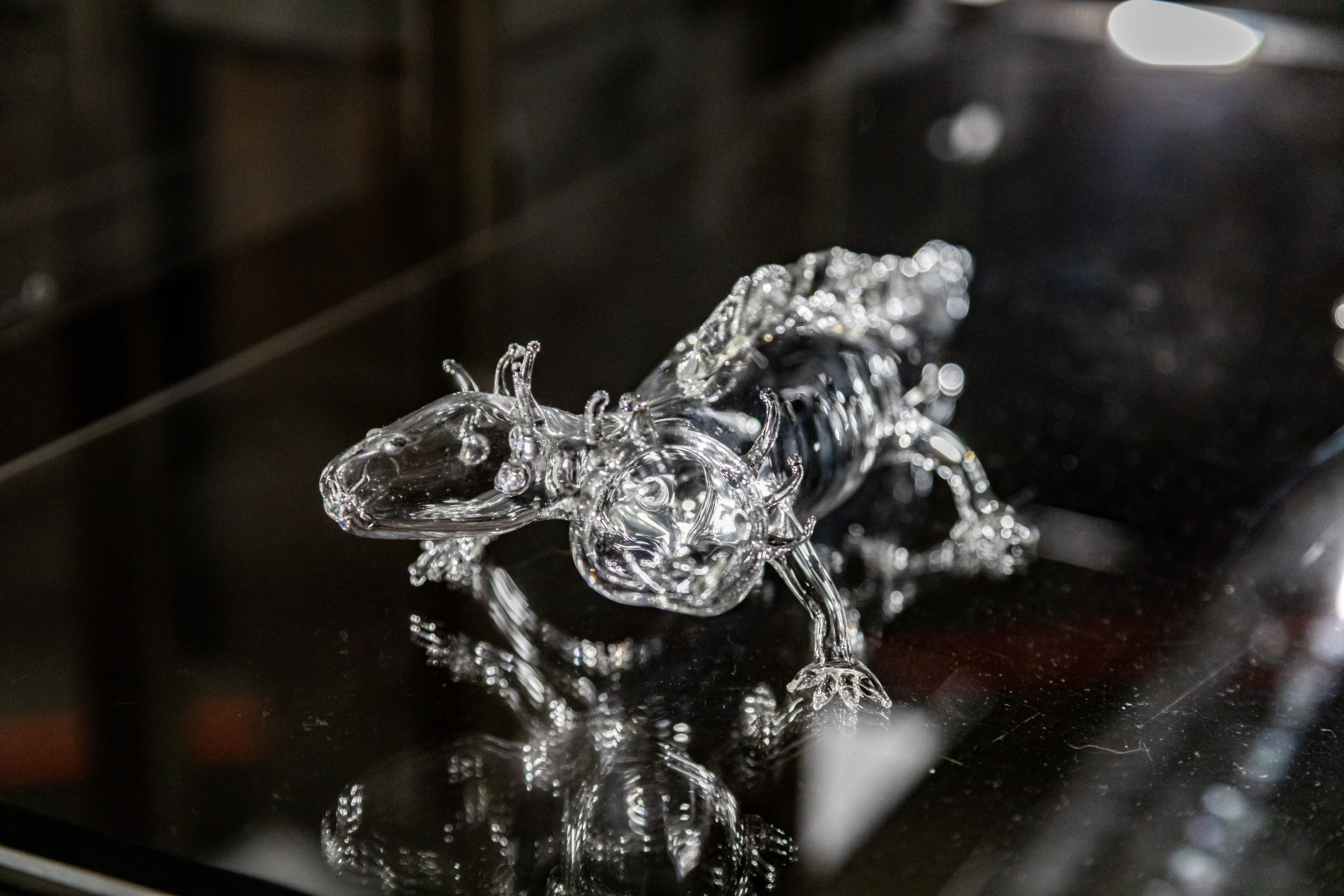 Robertina Šebjanič: Lygophilia @ Kunstgewerbemuseum (6/20)