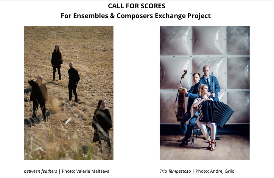 CALL FOR SCORES I Austauschprojekt für Ensembles und Komponisten