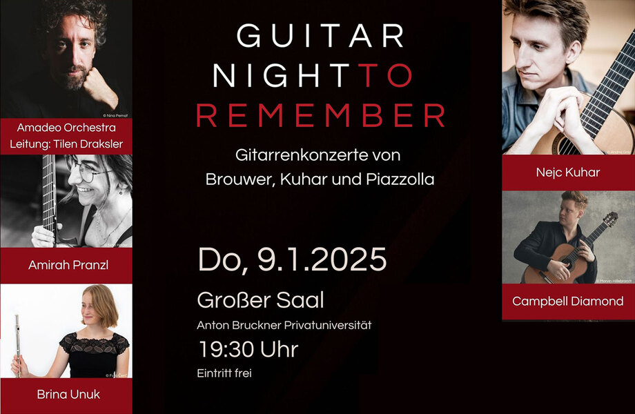A Guitar Night to Remember: Linz