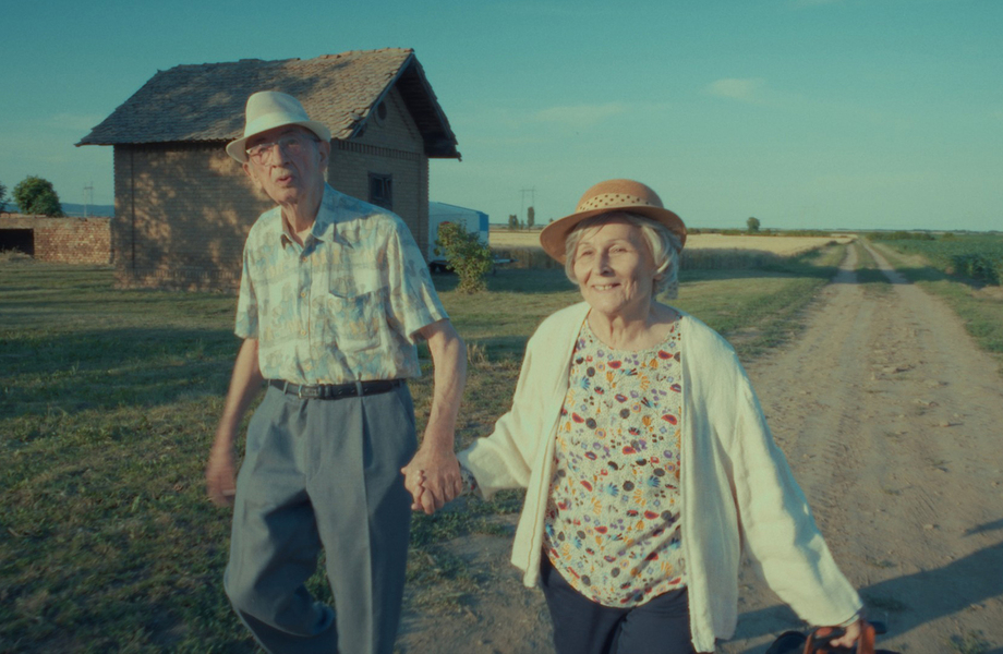 Eighty Plus / Restitucija, ili, San i java stare garde